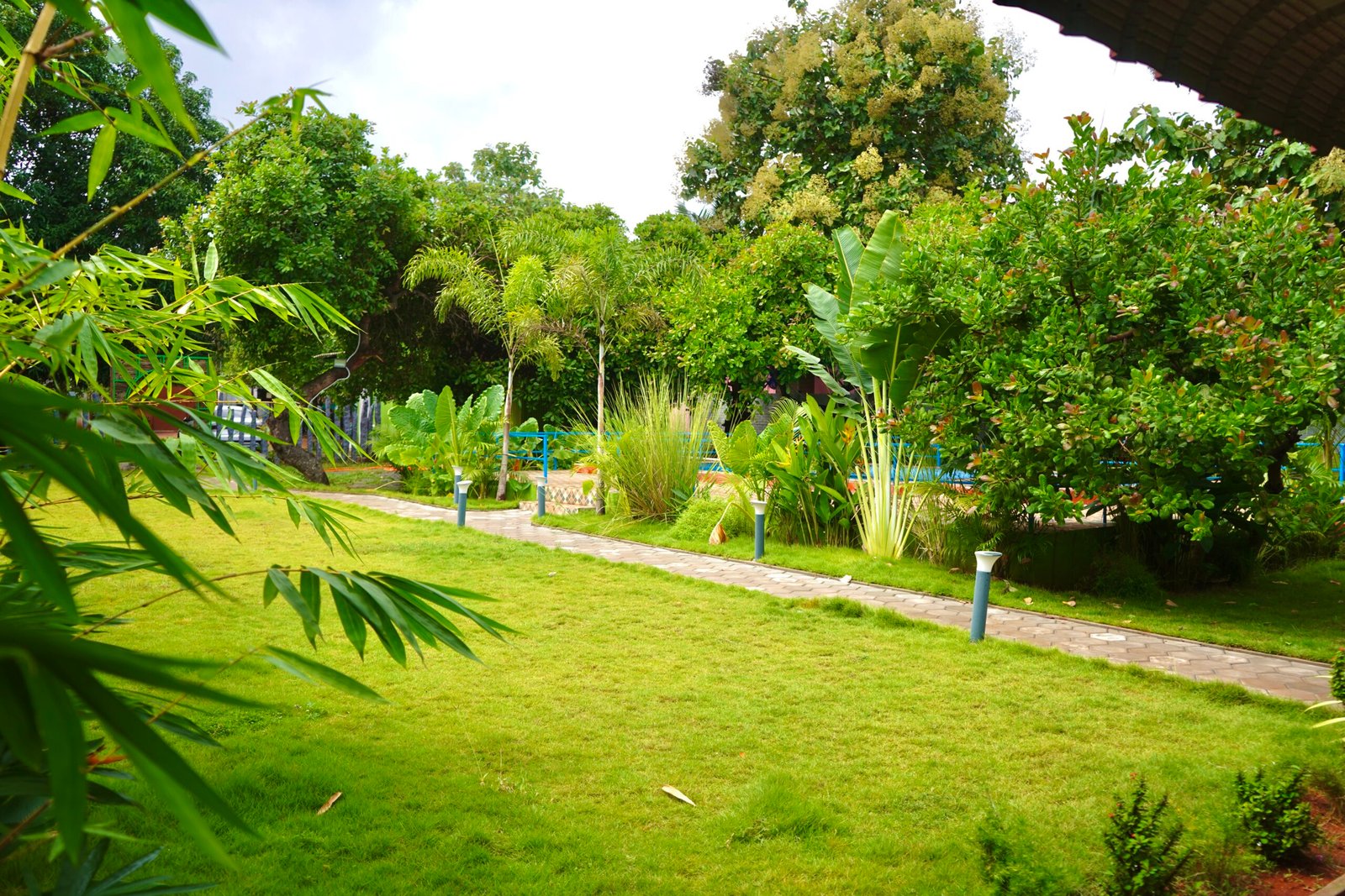 Green Aura Resort swimming pool facilities